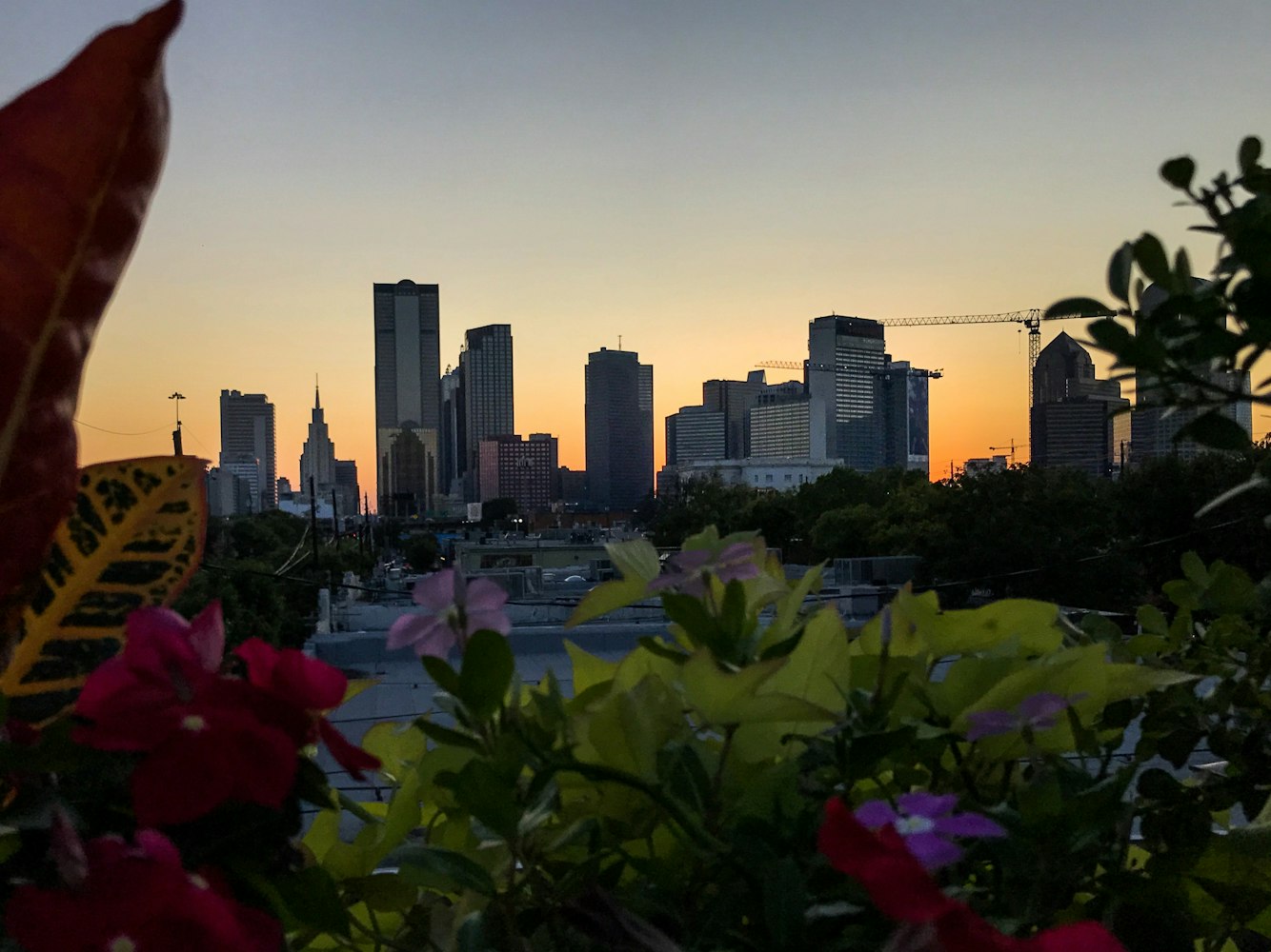 玉溪和谐价格，构建美好城市的关键基石