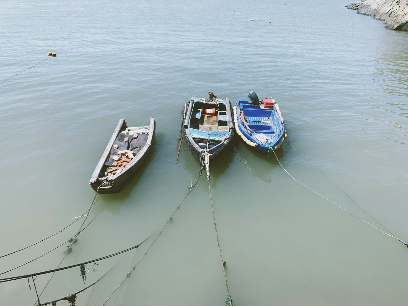 泰州高铁规划最新动态，开启交通枢纽城市新篇章