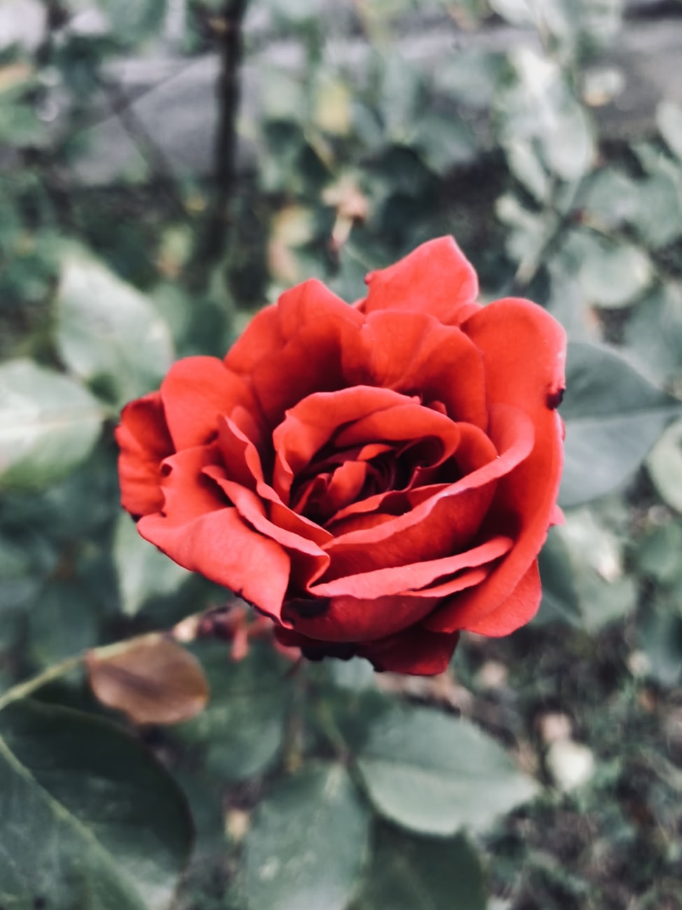 美叙冲突最新动态，局势演变与前景展望分析