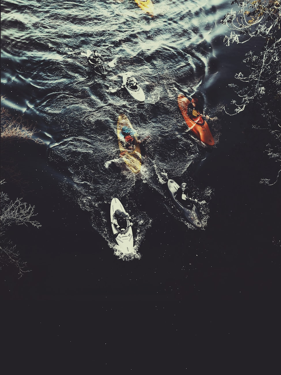 马继生最新动态,探索前沿,引领未来发展趋势