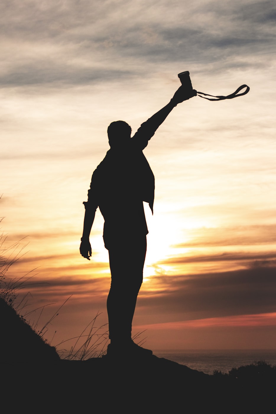 欲望森林电影，探索人性与欲望的交织世界之旅