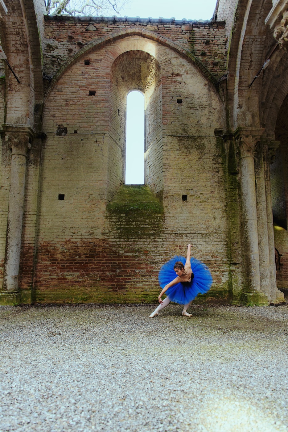 演员张嘉译的最新动态与近况揭秘