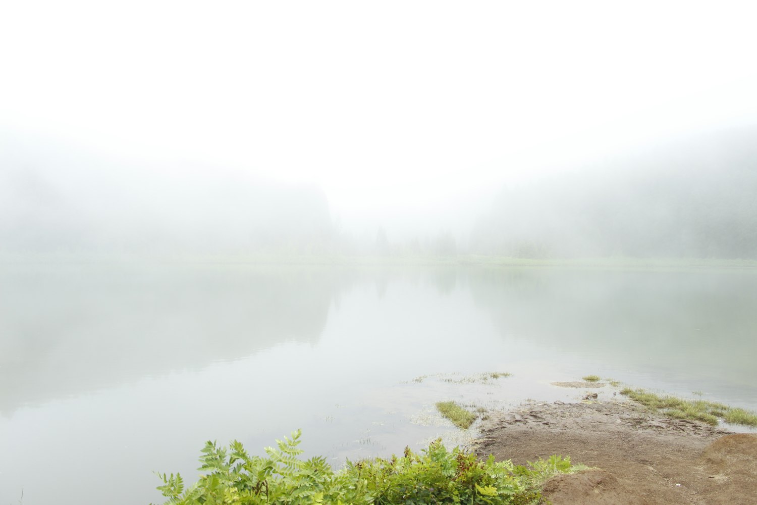 探索绿色革命的新征程，最新农业种植案例分享与启示