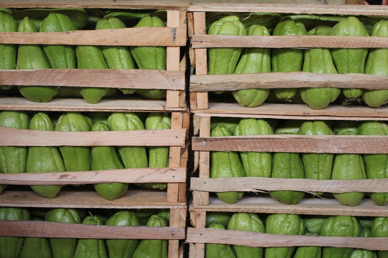 天水新鲜资讯,探索城市新动态,展现天水新风采