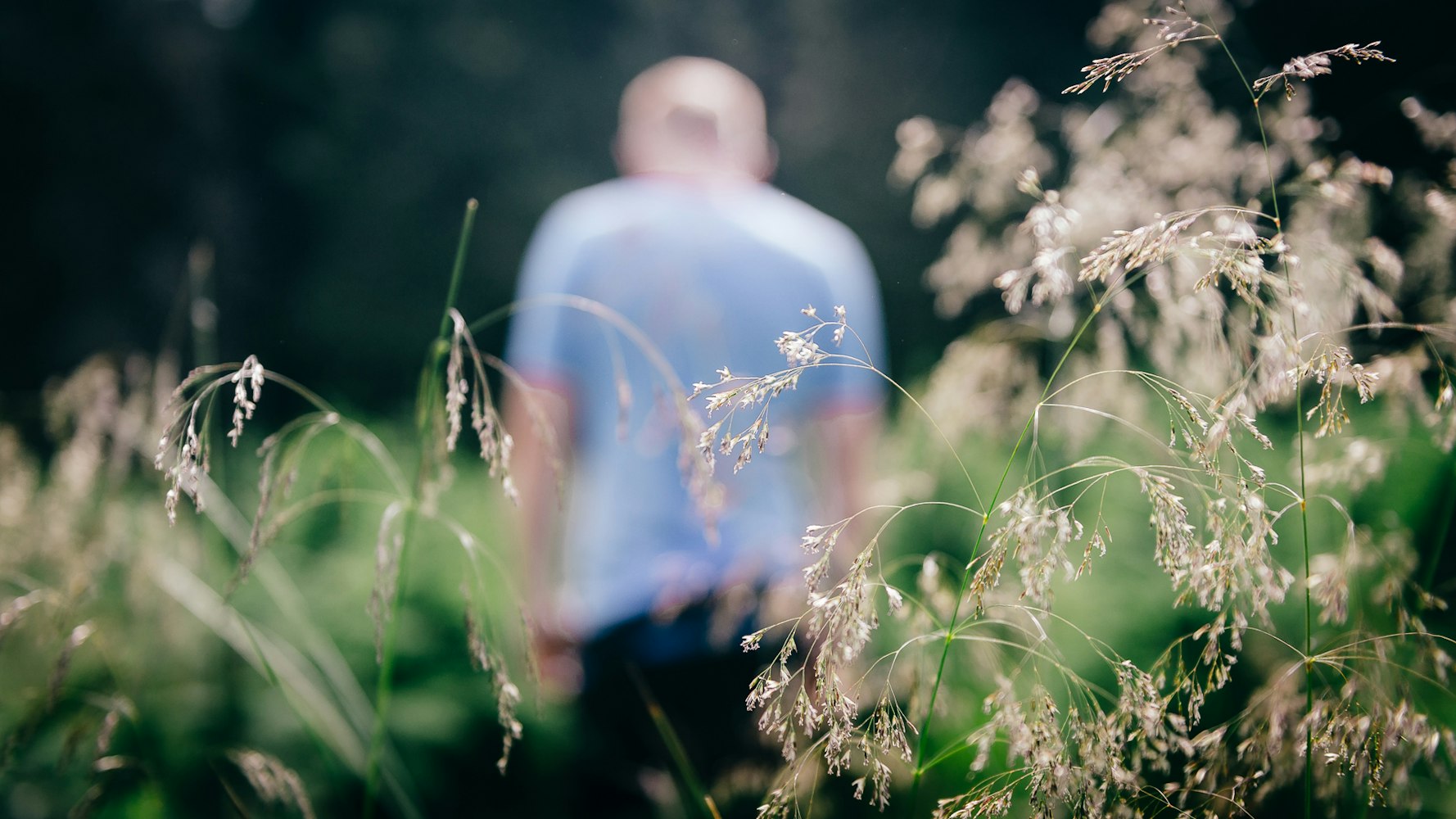 治愈系动漫排行，温暖心灵的艺术巅峰作品