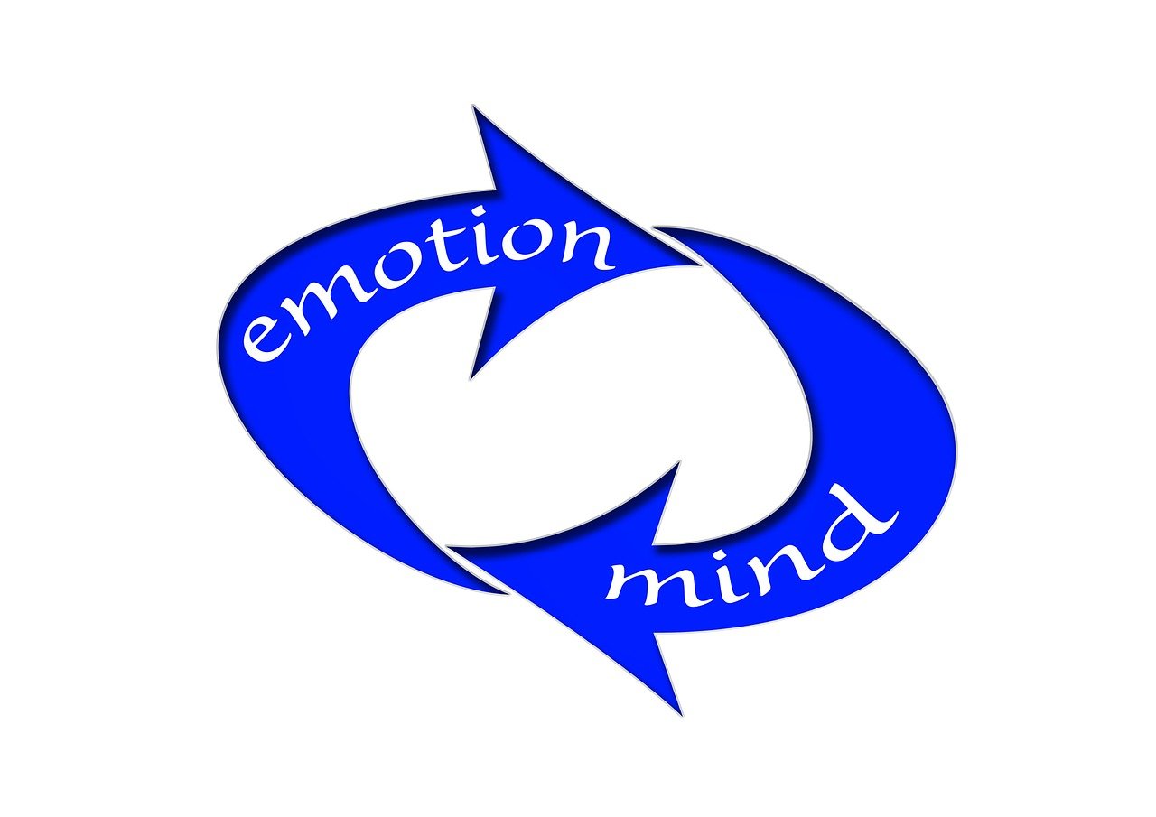 华为股票代码，探索中国科技创新巨头的资本市场之路之旅